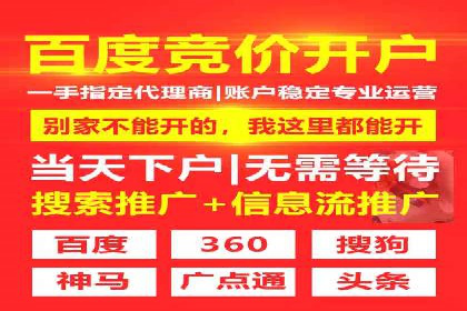 百度广告投放策略优化的经典案例